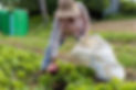EWB 2024.jpg